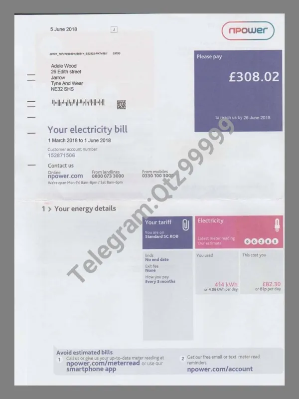 英国UK NPower Electricity Utility Bills水电费账单/KYC地址证明psd模板