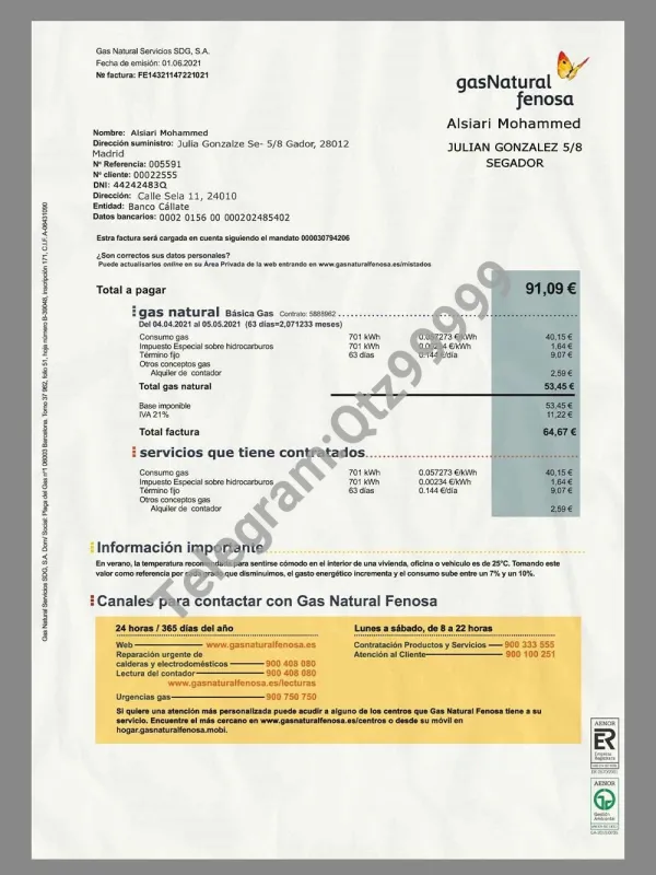 西班牙 南美 Gas Natural Utility Bills水电费账单 K预览图