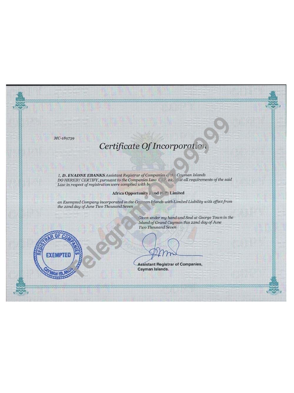 Cayman Islands Company Certificate开曼群岛公司营业执照pdf模板 高清原件/PDF/PSD下载 - 地址证明风控解除
