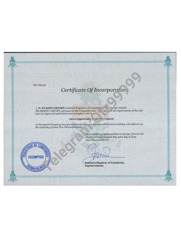 Cayman Islands Company Certificate开曼群岛公司营业执照pdf模板