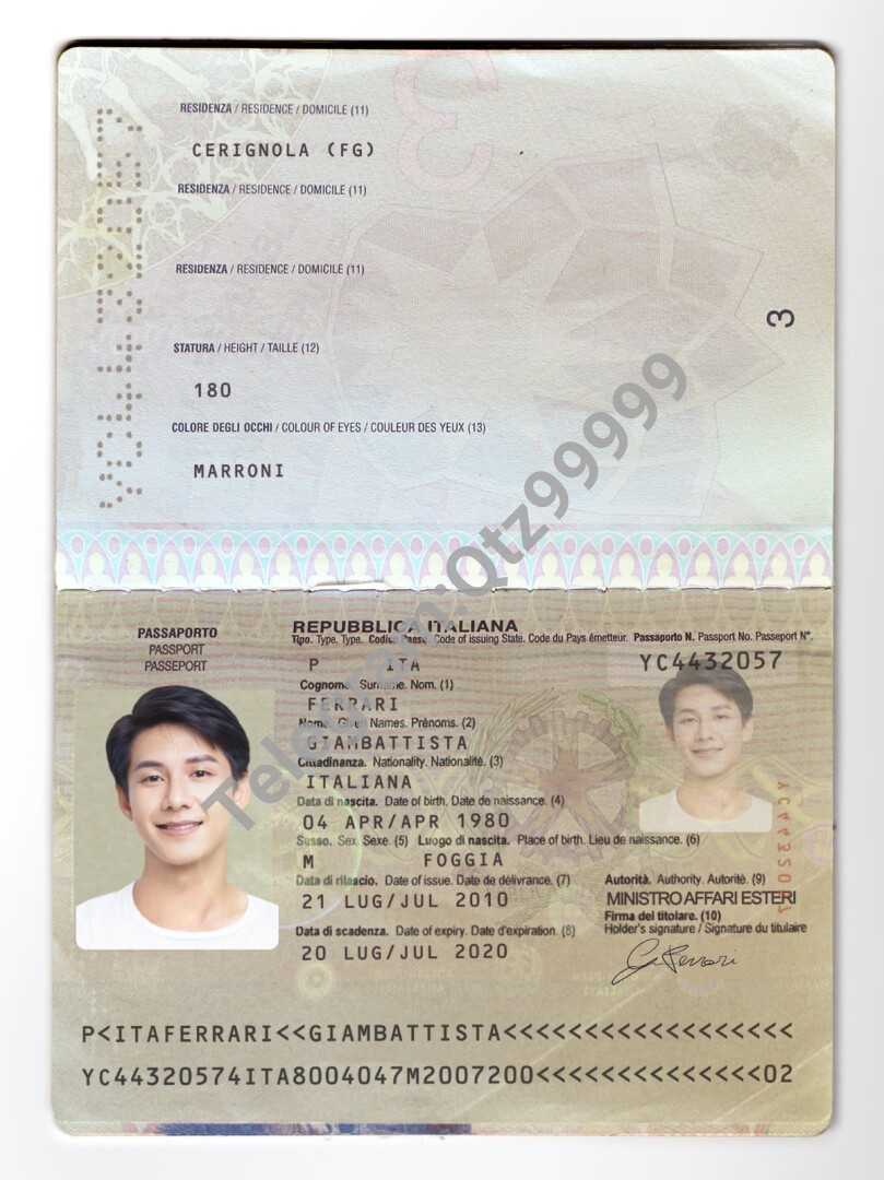 欧盟|Italy Passport意大利护照PSD/photoshop/PS模板 (old) 高清原件/PDF/PSD下载 - 地址证明风控解除