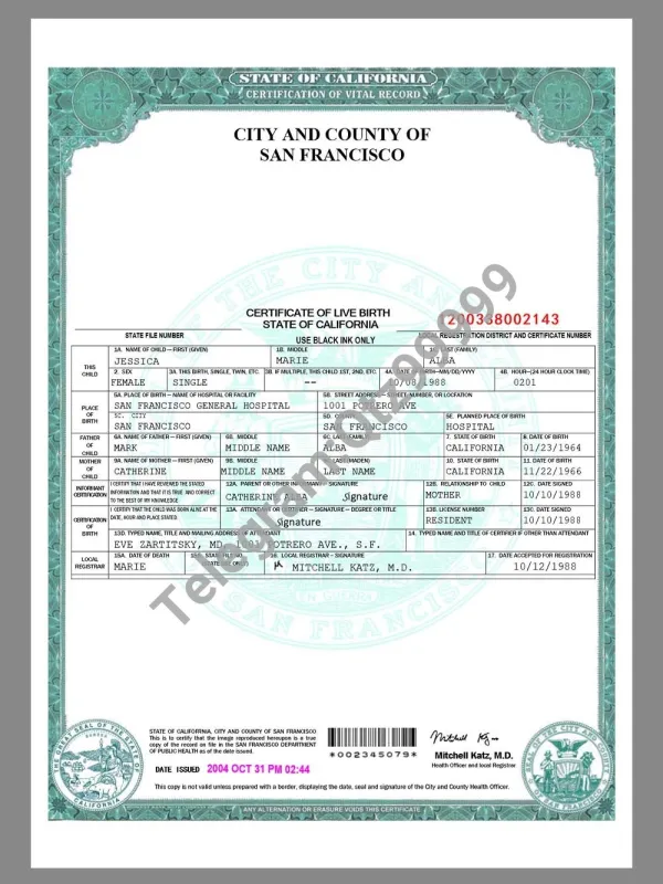 USA California San Francisco Birth Certificate美国加州旧金山出生证word模板