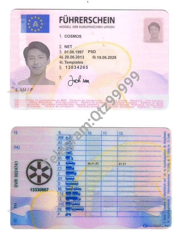 欧盟|Austria Driver License奥地利驾照/驾驶证PS/PSD模板（V2）