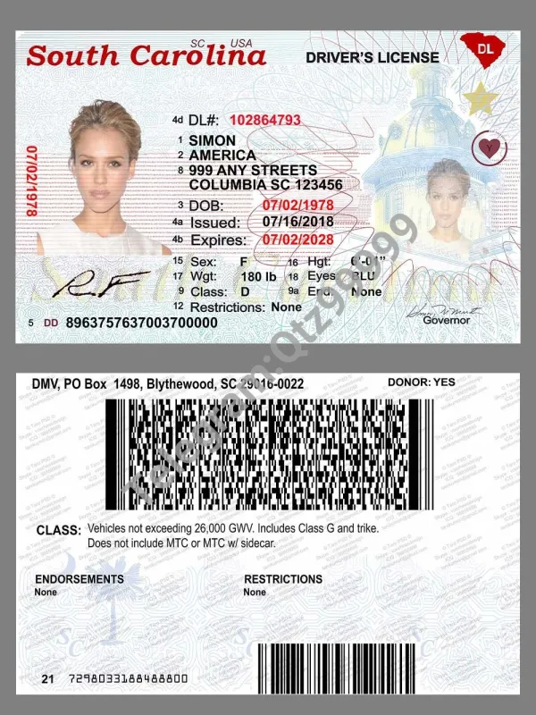 USA South Carolina DL美国南卡罗莱纳州驾照PS/PSD模板(print-V1)
