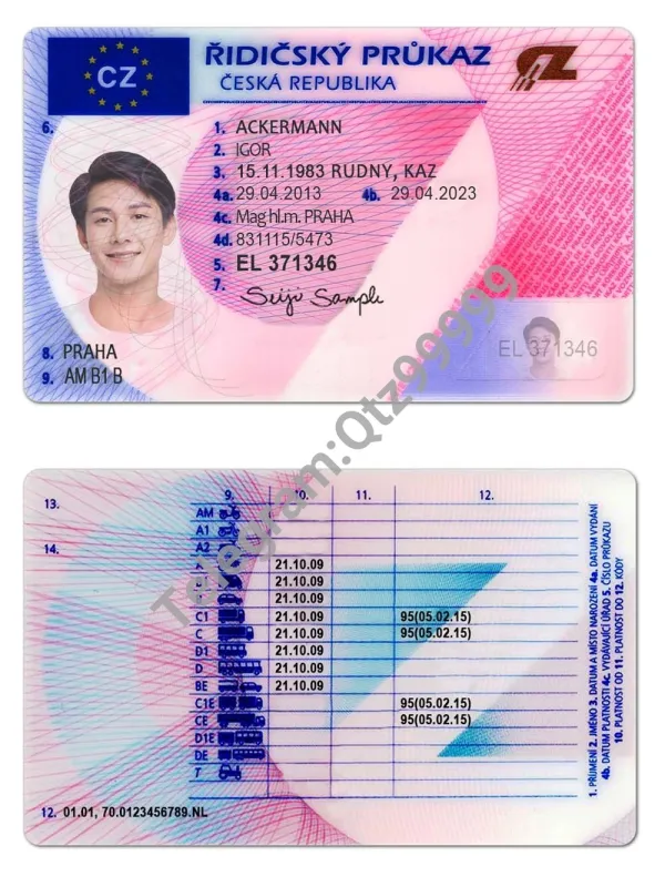 东欧| Czech DL捷克驾照/驾驶证PS/PSD模板（V2）