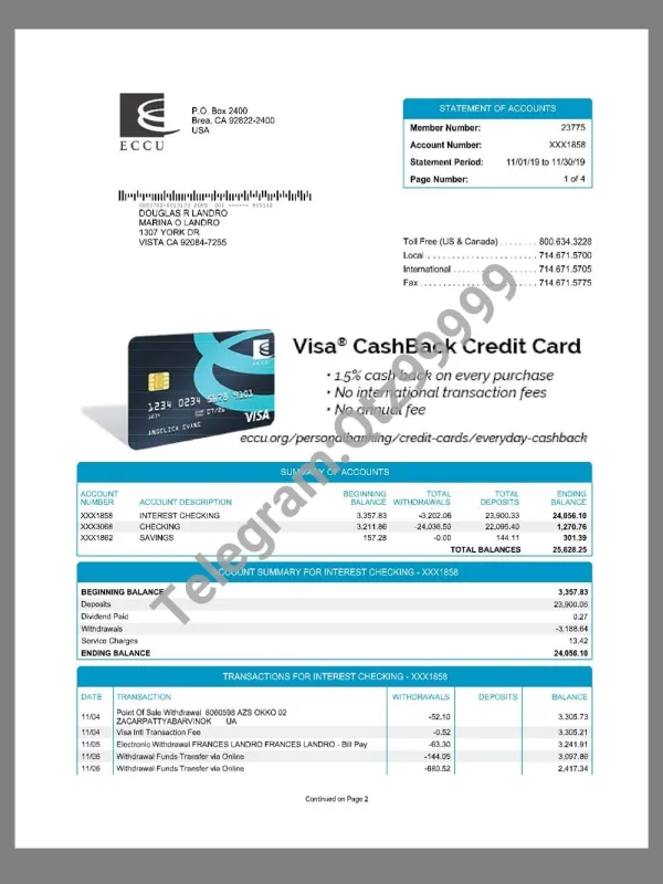 USA Energy Capital Credit Union Statement美国德州银行账单pdf模板