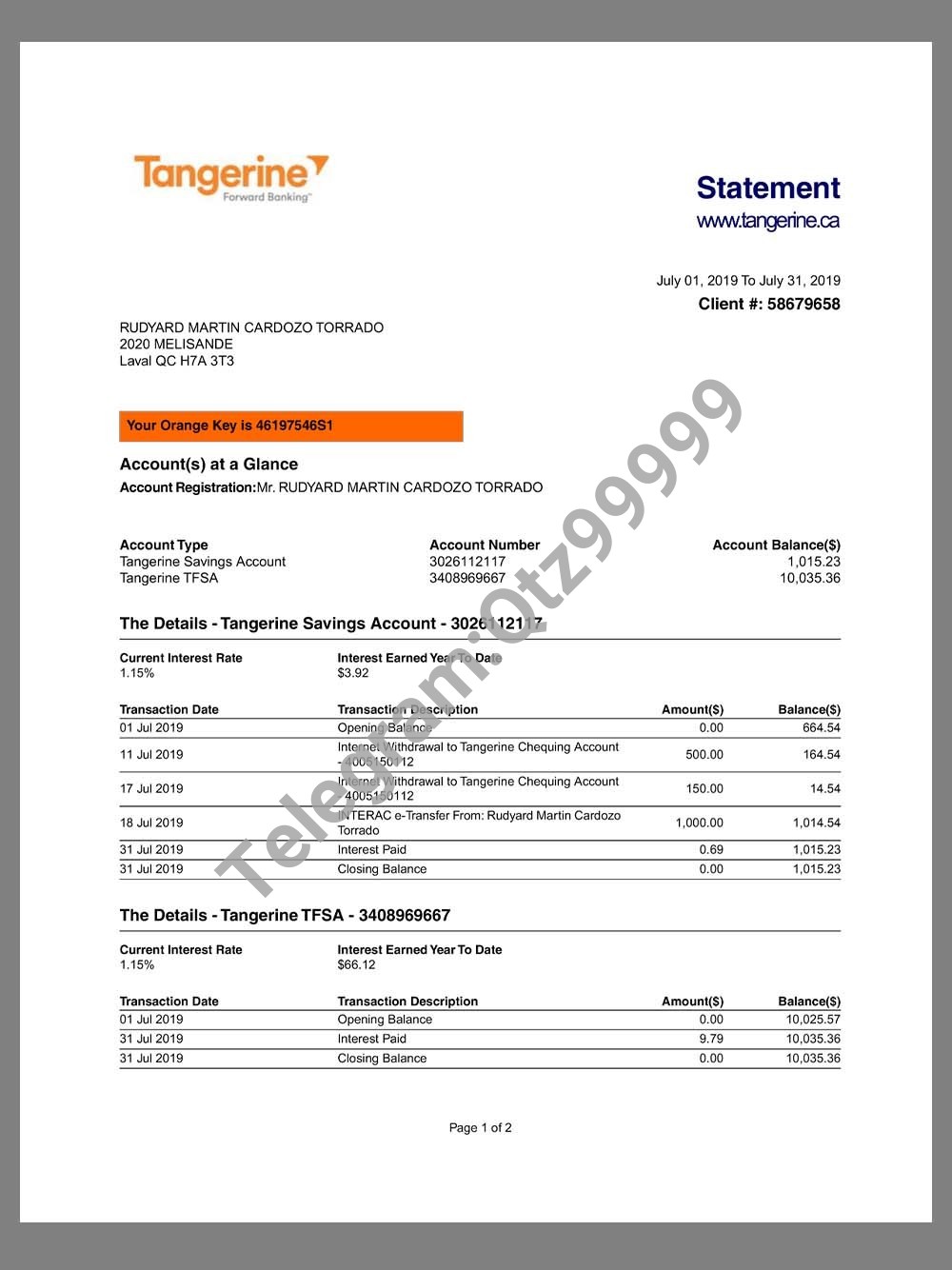 Canada Tangerine Bank Statement加拿大橘子银行账单pdf/word模板