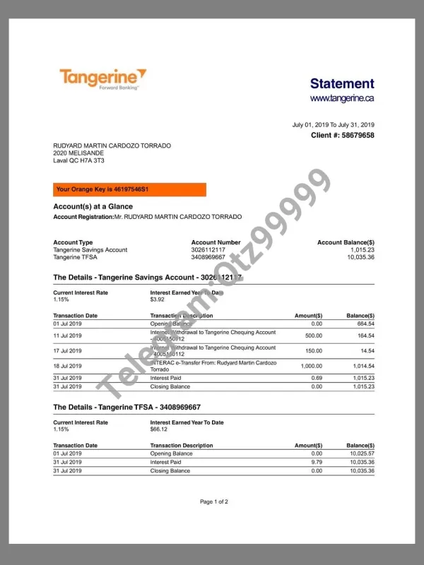 Canada Tangerine Bank Statement加拿大橘子银行账单pdf/word模板
